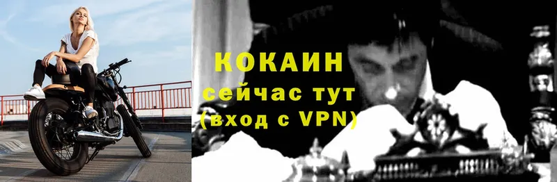 Кокаин 99%  ОМГ ОМГ рабочий сайт  Сарапул 